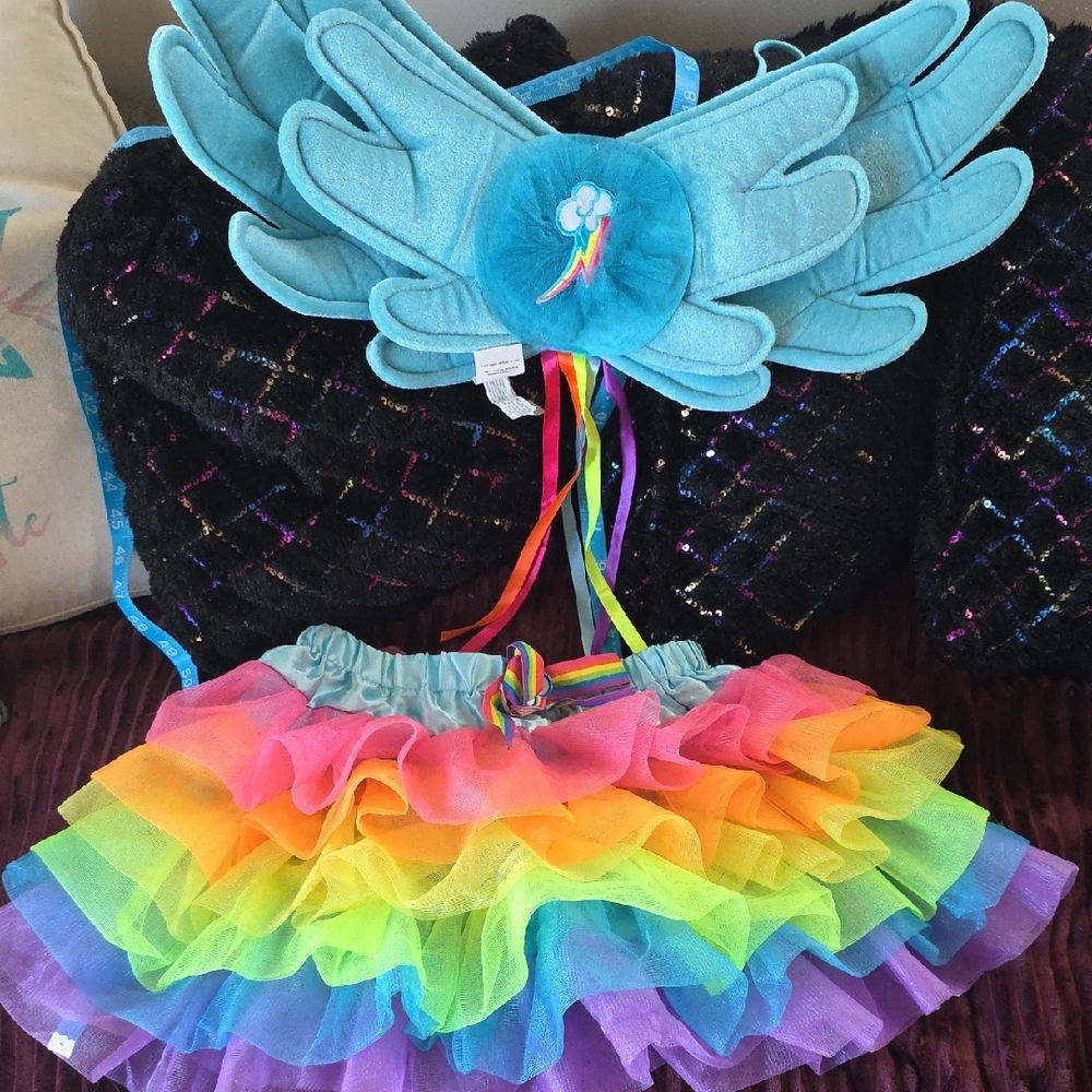 My Little Pony RAINBOW DASH Child Costume